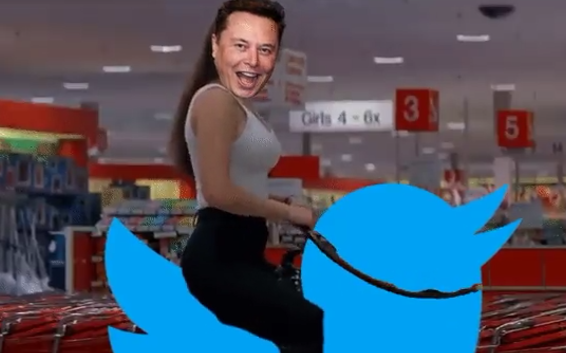 Elon riding the blue bird